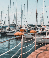 get assistance background